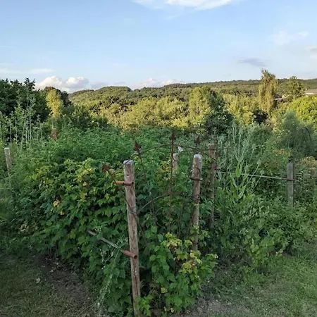 Characteristic Arden With Valley Views Σπίτι διακοπών Tenneville